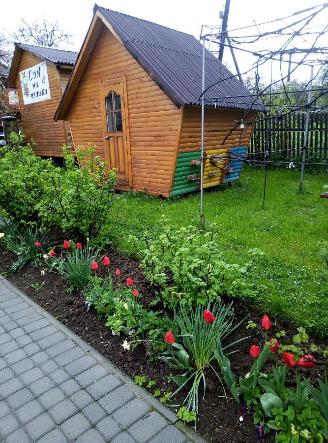 "У Пасічника" Котедж Для Сім'Ї Yaremche Eksteriør billede